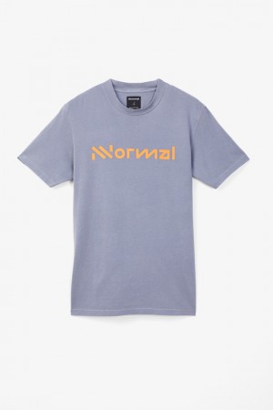 NNormal Organic cotton t-shirt Kék | 870CHLRWN